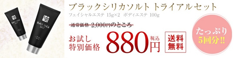 ���ƂŊȒP�\���g�G�X�e�u�u���b�N�V���J�\���g�v�g���C�A���Z�b�g���T�C�g